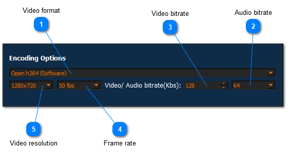 11.4. SRTStreamer (Lite)